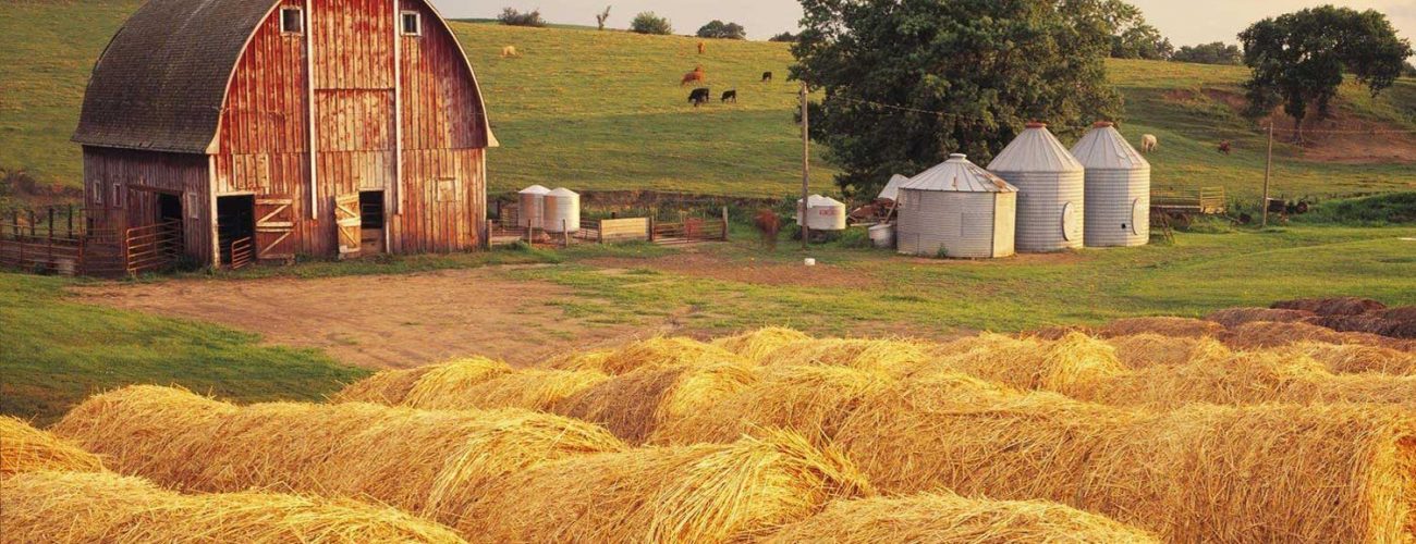 Why Local Matters: The Akasoil Farms Advantage