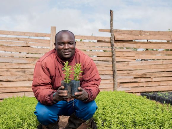 The Akasoil Farms Difference